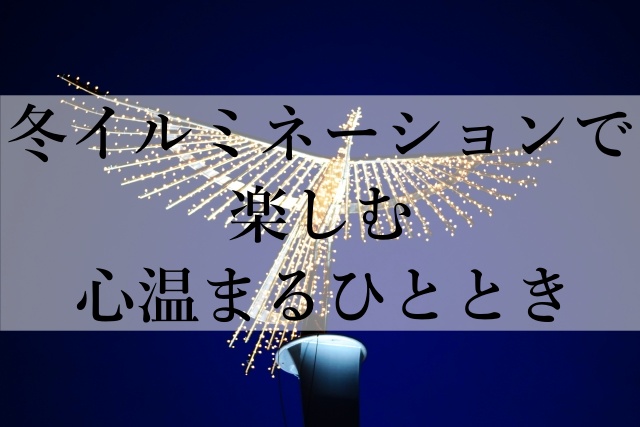 冬イルミネーションで楽しむ心温まるひととき