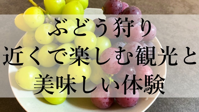 ぶどう狩り近くで楽しむ観光と美味しい体験