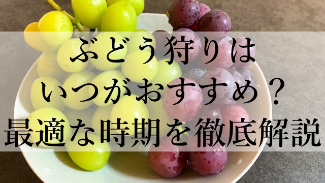 ぶどう狩りはいつがおすすめ？最適な時期を徹底解説