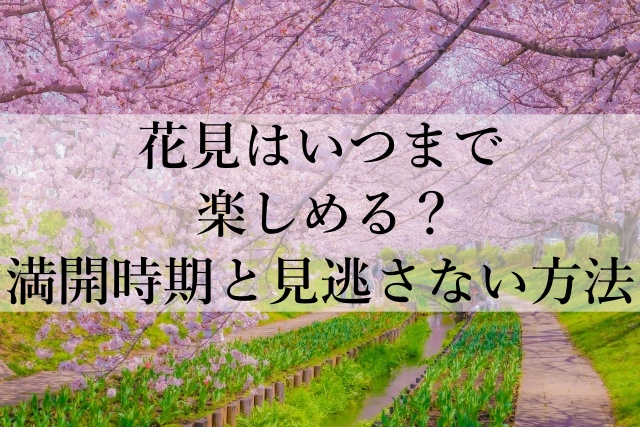 花見はいつまで楽しめる？満開時期と見逃さない方法