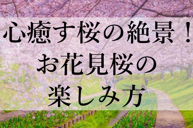 心癒す桜の絶景！お花見桜の楽しみ方