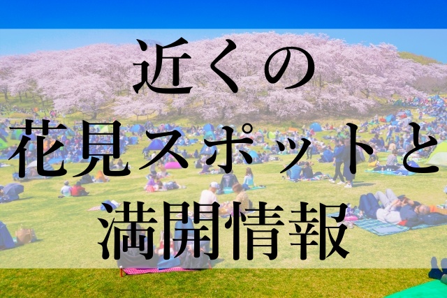 近くの花見スポットと満開情報