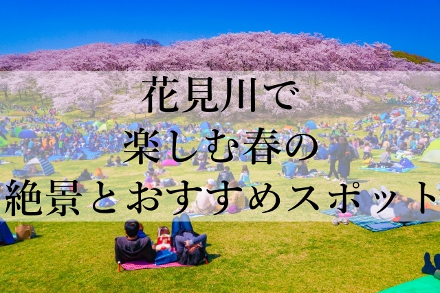 花見川で楽しむ春の絶景とおすすめスポット