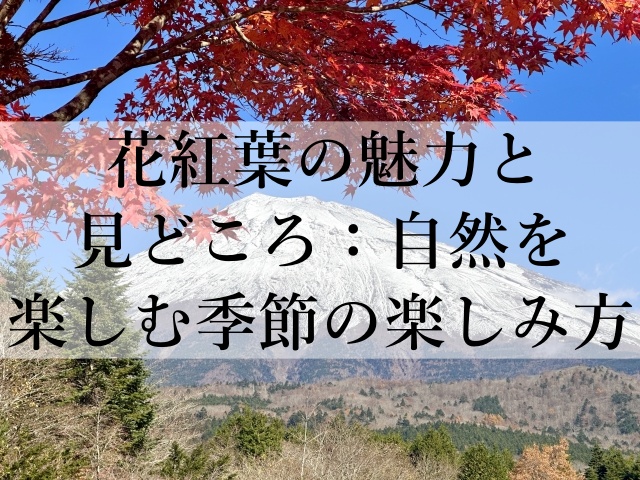 花紅葉の魅力と見どころ：自然を楽しむ季節の楽しみ方