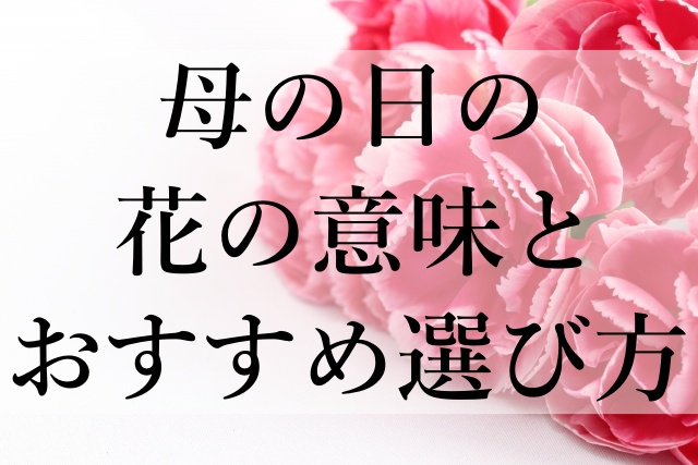 母の日の花の意味とおすすめ選び方